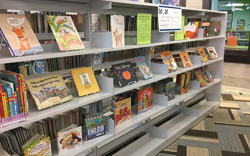 stephenson public library