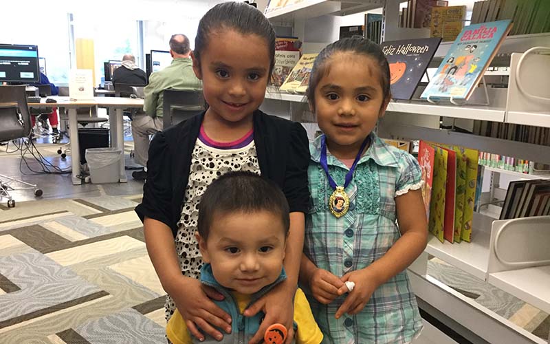 stephenson public library